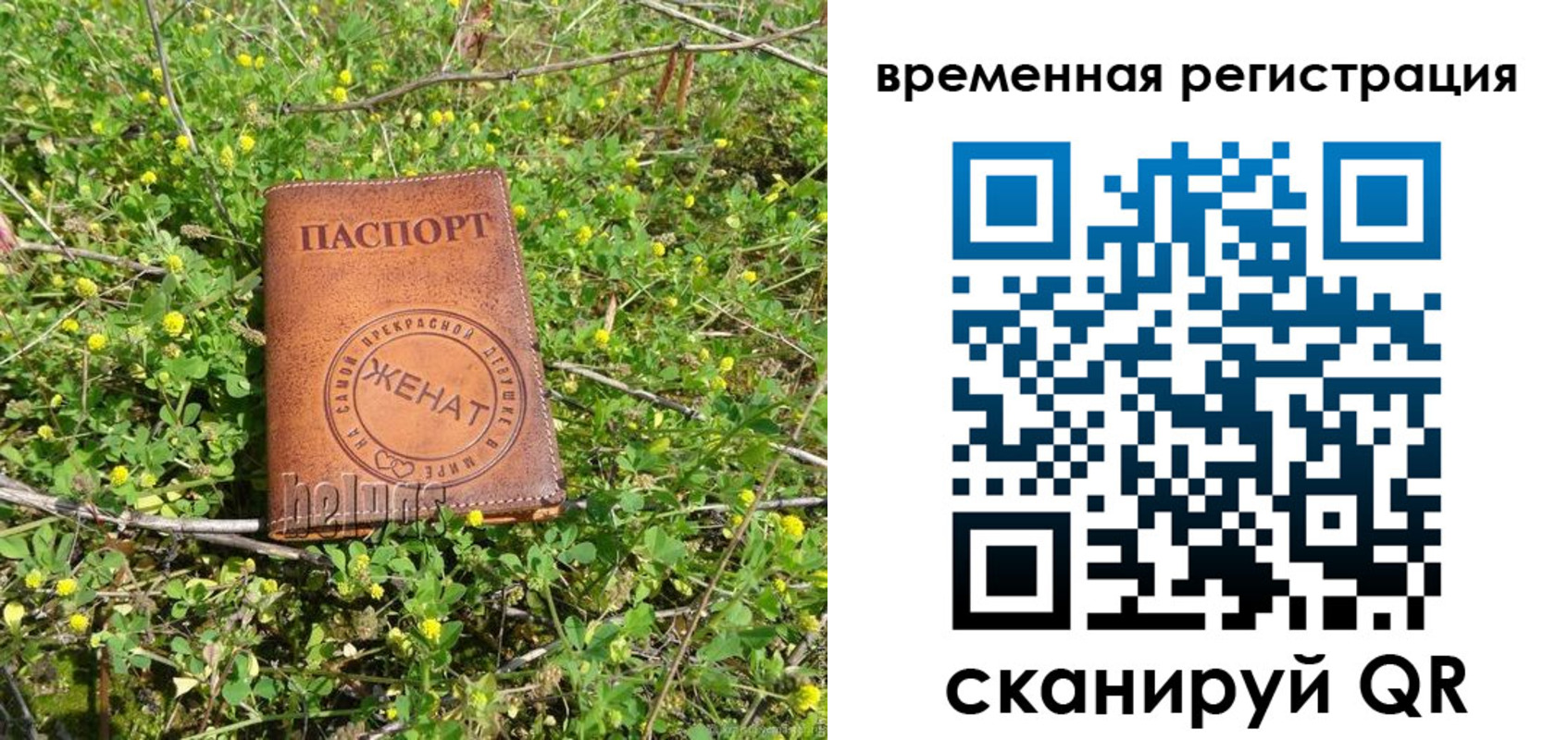 прописка регистрация в Сочи